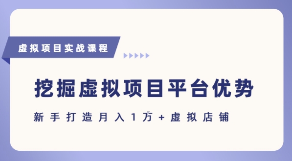 抓住虚拟项目各平台优势，新手轻松月入1W+(给出具体建议)-云享网创