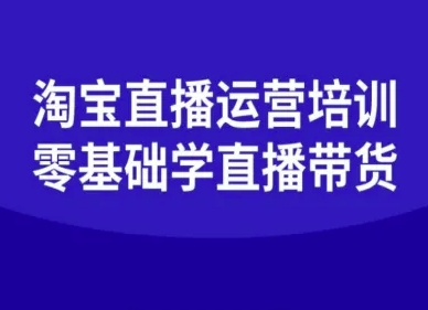 淘宝直播运营培训-零基础学会直播卖货-云享网创