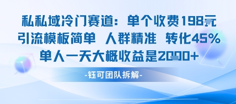 私域冷门赛道单个收费198米引流模板简单人群精准 45%的转化率单人一天大概收益多张-云享网创
