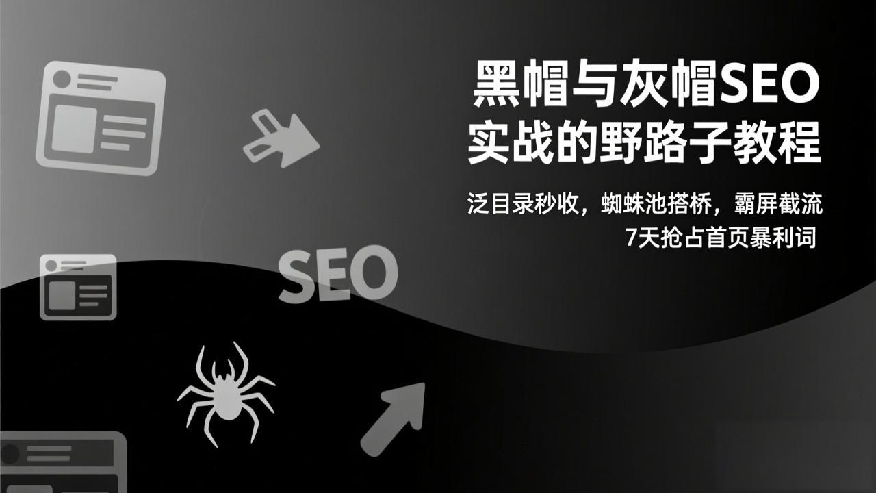 黑帽与灰帽SEO实战的野路子教程：泛目录秒收，蜘蛛池搭桥，霸屏截流，7天抢占首页暴利词-云享网创
