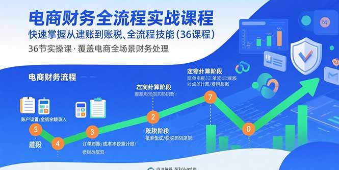 电商财务全流程实战课程:快速掌握从建账到报税的全流程技能(36节课-云享网创