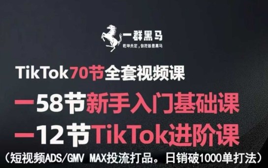 TikTok全套视频课,新手入门+进阶课,短视频ADS-GMV MAX投流打品,日销破1000单打法-云享网创