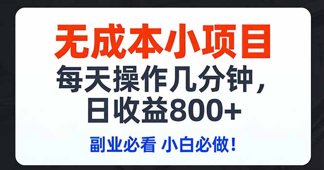 无成本小项目,每天操作几分钟,日收益800+ 副业必看 小白必做！-云享网创
