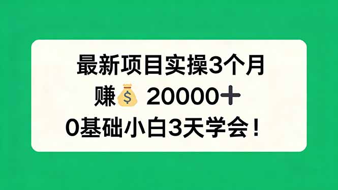 最新项目实操3个月，赚钱20000+，0基础小白3天学会！-云享网创