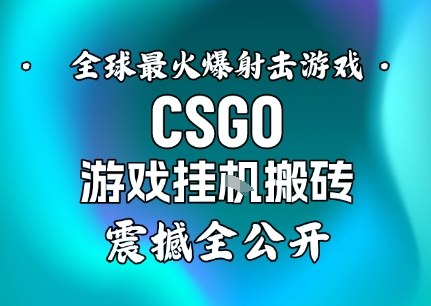 【年底大揭秘】基于全球最火爆的射击CSGO游戏挂G搬砖,日入5张+,震撼公开-云享网创