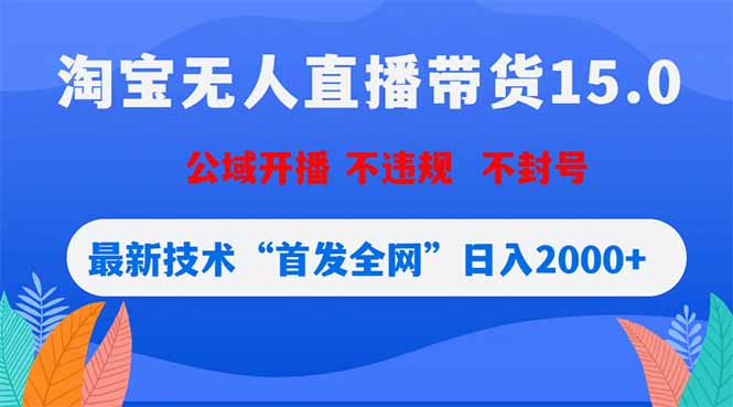 淘宝无人直播带货15.0，不封号，不违规，公域玩法，首发全网日入2000+-云享网创