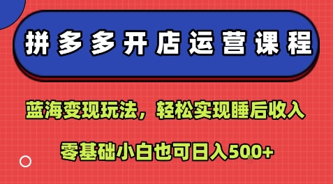 拼多多开店运营课程：蓝海变现玩法，轻松实现睡后收入，零基础小白也可日入5张-云享网创
