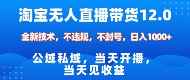 淘宝无人直播12.0,公域私域技术,不封号,不违规布局双十一流量风口,日入1k(独家技术)【揭秘】-云享网创