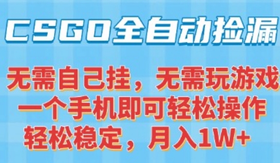 CSGO自动捡漏项目，最新独家玩法，一个手机可操作，新手小白轻松月入1W+，操作简单易上手【揭秘】-云享网创