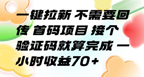 一键拉新 不需要回传 首码项目 接个验证码就算完成 一小时收益70+【揭秘】-云享网创