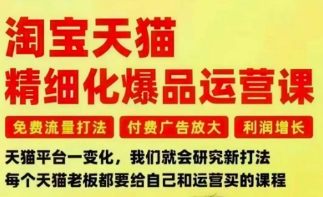 淘宝天猫精细化爆品运营课,免费流量打法-付费广告放大-利润增长-三大核心痛点,一次全部解决-云享网创